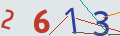 verifycode